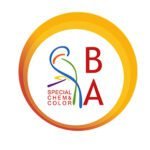 https://www.bacolor.it/
